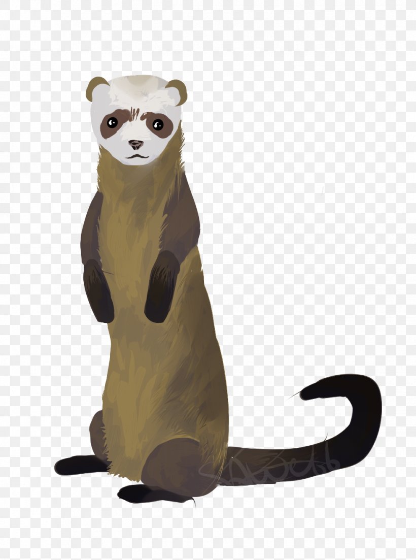 Ferret Viverrids Fur Terrestrial Animal, PNG, 979x1318px, Ferret, Animal, Animal Figure, Carnivoran, Fauna Download Free