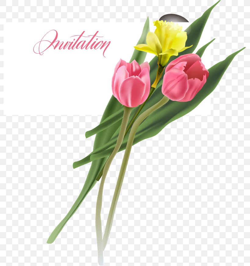 Flower Tulip Euclidean Vector, PNG, 797x871px, Flower, Artificial Flower, Bud, Cut Flowers, Floral Design Download Free