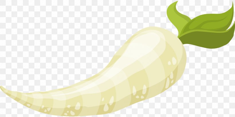 Root Vegetables Food Parsnip Clip Art, PNG, 1920x960px, Vegetable, Banana, Banana Family, Carrot, Cartoon Download Free