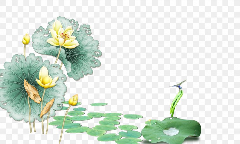 Wall Nelumbo Nucifera Floral Design, PNG, 1530x920px, Wall, Artificial Flower, Cut Flowers, Flora, Floral Design Download Free