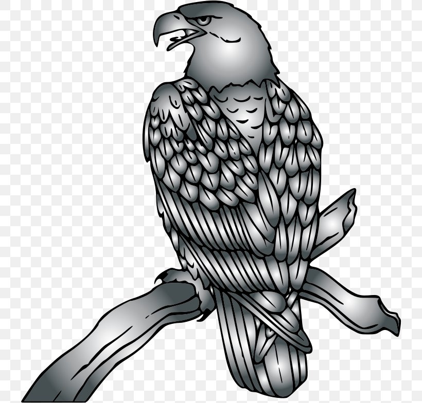 Bald Eagle Clip Art Hawk Openclipart, PNG, 740x784px, Bald Eagle, Accipitridae, Accipitriformes, Beak, Bird Download Free