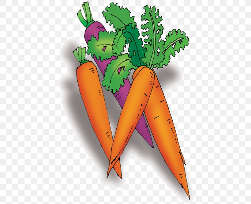 Carrot Vegetable Cartoon, PNG, 666x666px, Carrot, Cartoon, Daucus Carota, Drawing, Flowerpot Download Free