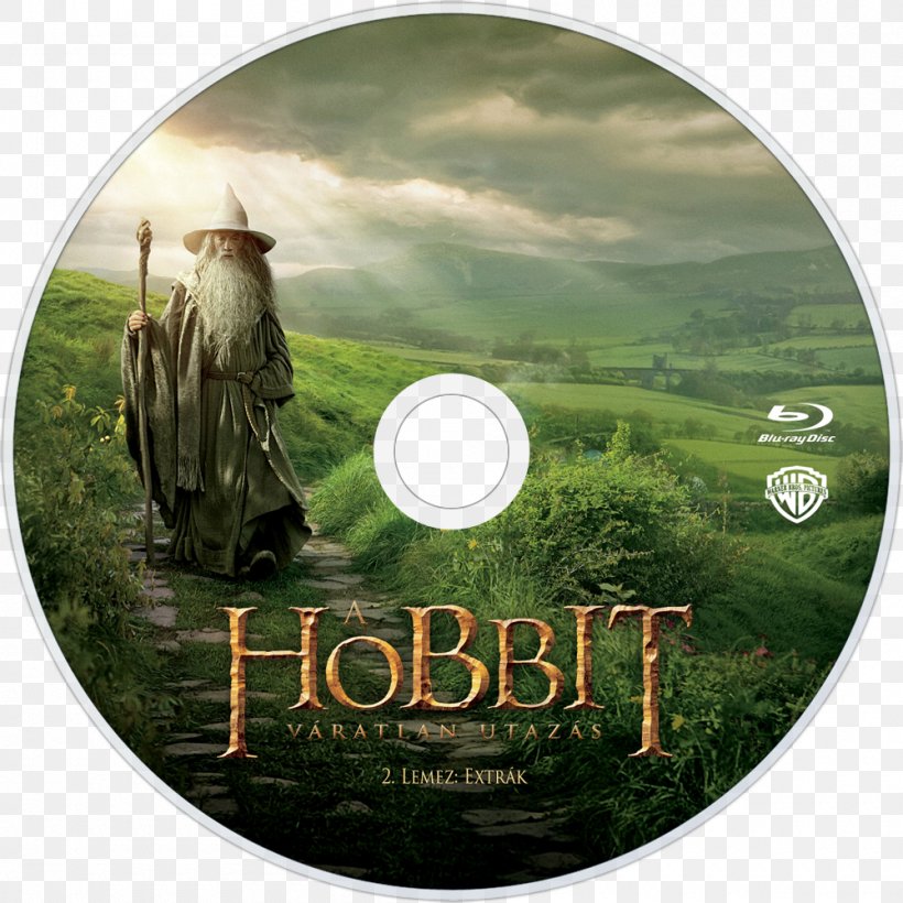 Gandalf Bilbo Baggins The Hobbit Wizard, PNG, 1000x1000px, Gandalf, Bilbo Baggins, Desolation Of Smaug, Dvd, Dwarf Download Free