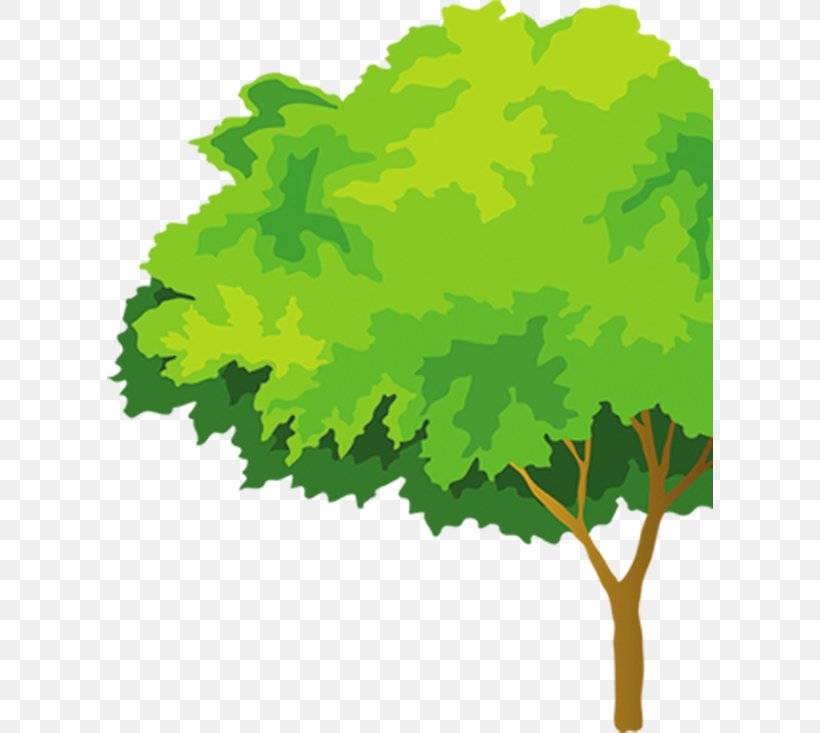 Cartoon Download Green, PNG, 606x733px, Cartoon, Branch, Color, Film, Grape Download Free