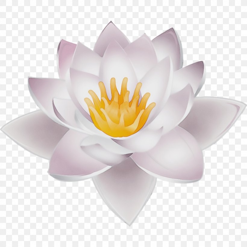 Lotus, PNG, 1024x1024px, Watercolor, Aquatic Plant, Flower, Flowering Plant, Fragrant White Water Lily Download Free