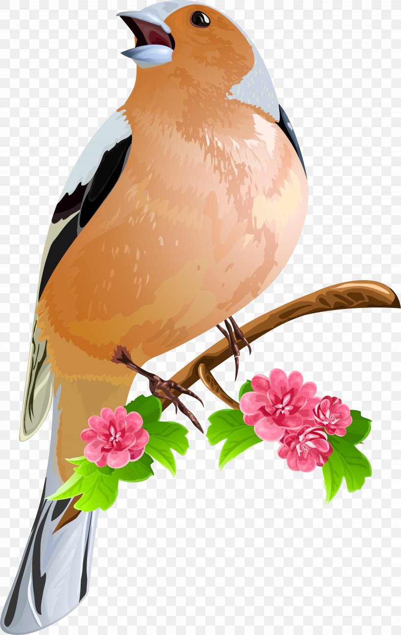 Bird Flowers Clip Art, PNG, 5531x8762px, Bird, Beak, Branch, Cdr, Drawing Download Free