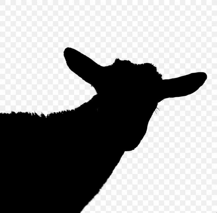 Cattle Goat Clip Art Silhouette Snout, PNG, 2131x2100px, Cattle, Black, Blackandwhite, Goat, Head Download Free