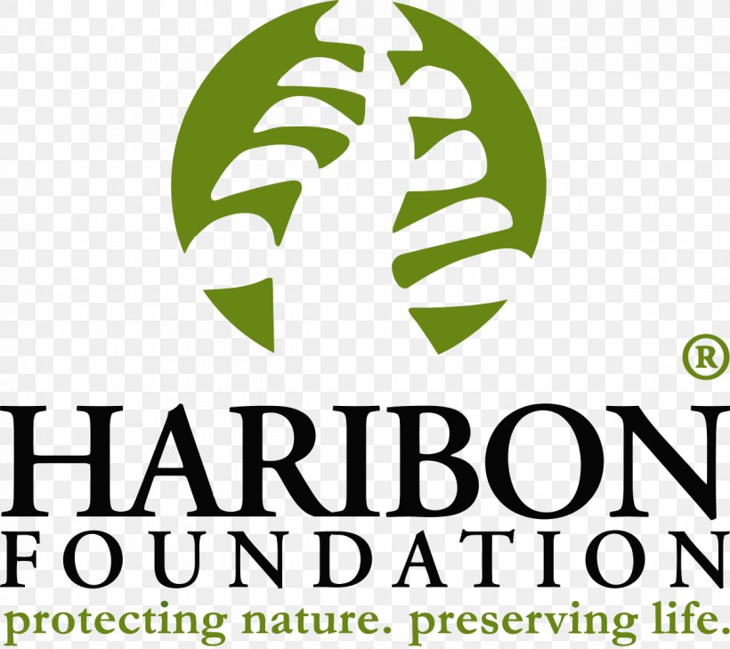 Haribon Foundation Conservation Philippines Philippine Eagle Organization, PNG, 1200x1068px, Conservation, Area, Brand, Child, Fundraising Download Free