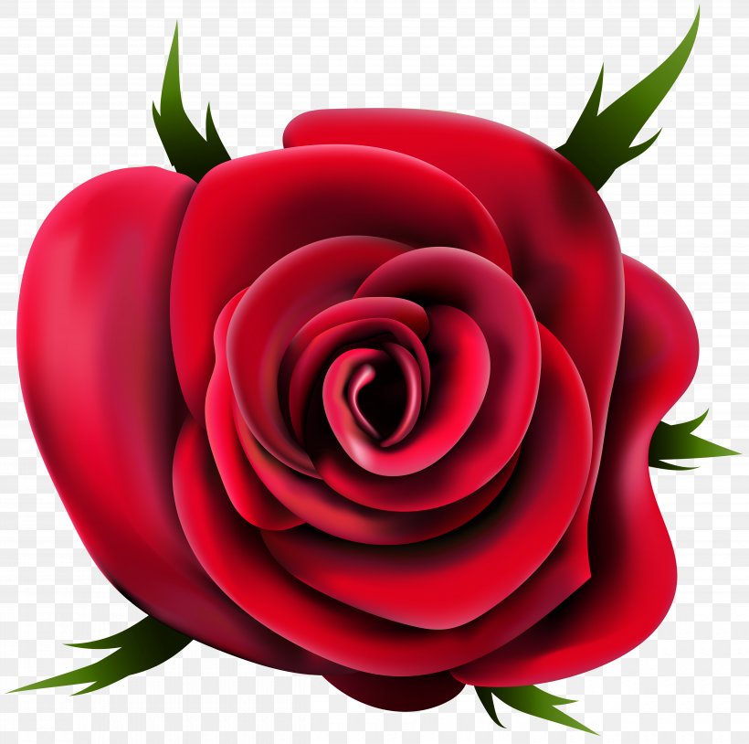 Rose Desktop Wallpaper Clip Art, PNG, 5000x4969px, Rose, Blog, Cut Flowers, Floral Design, Floribunda Download Free