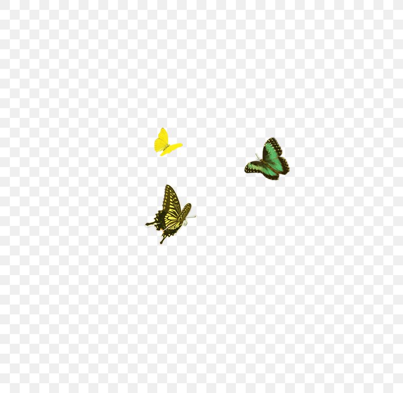 Butterfly Icon, PNG, 800x800px, Butterfly, Amphibian, Cartoon, Fauna, Frog Download Free