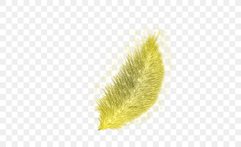 Close-up Commodity, PNG, 500x500px, Closeup, Commodity, Feather, Grass, Grass Family Download Free