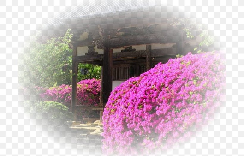 Japanese People Floral Design Flowering Plant, PNG, 700x525px, Japan, Flora, Floral Design, Flower, Flowering Plant Download Free