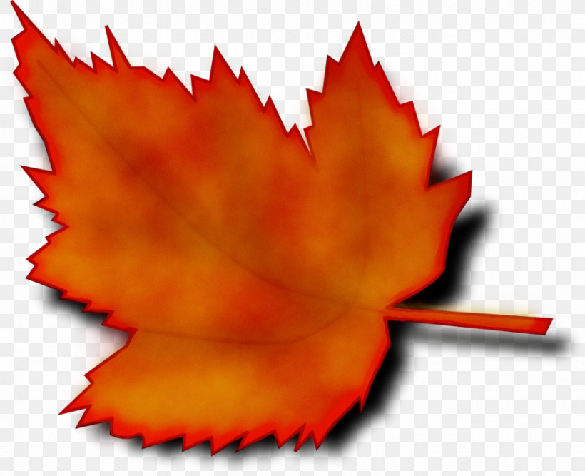 Maple Leaf, PNG, 922x750px, Watercolor, Acer Nigrum, Cartoon, Deciduous, Japanese Maple Download Free