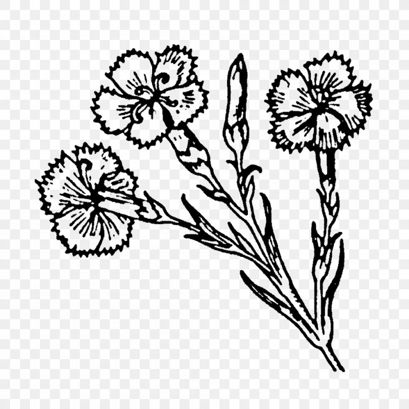 Flower Visual Arts Drawing, PNG, 1000x1000px, Flower, Area, Art, Artwork, Black And White Download Free
