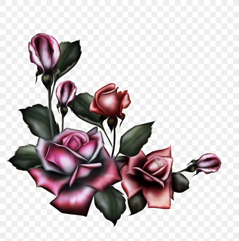 Black Rose Drawing, PNG, 900x910px, Rose, Architecture, Black Rose, Bud, Cut Flowers Download Free