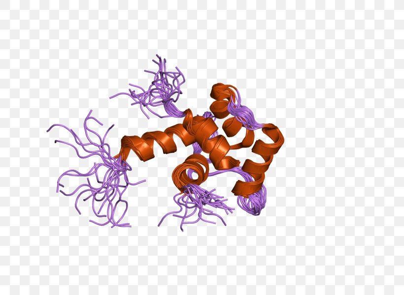 Centrin 1 Centrin 2 Protein Family, PNG, 800x600px, Protein, Calcium, Encyclopedia, Food, Gene Download Free