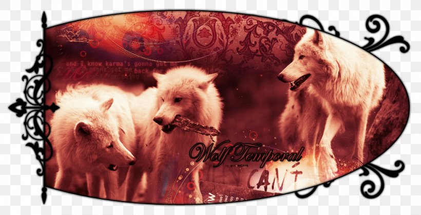Dog Graphics Illustration Snout, PNG, 980x500px, Dog, Carnivoran, Dog Like Mammal, Snout Download Free
