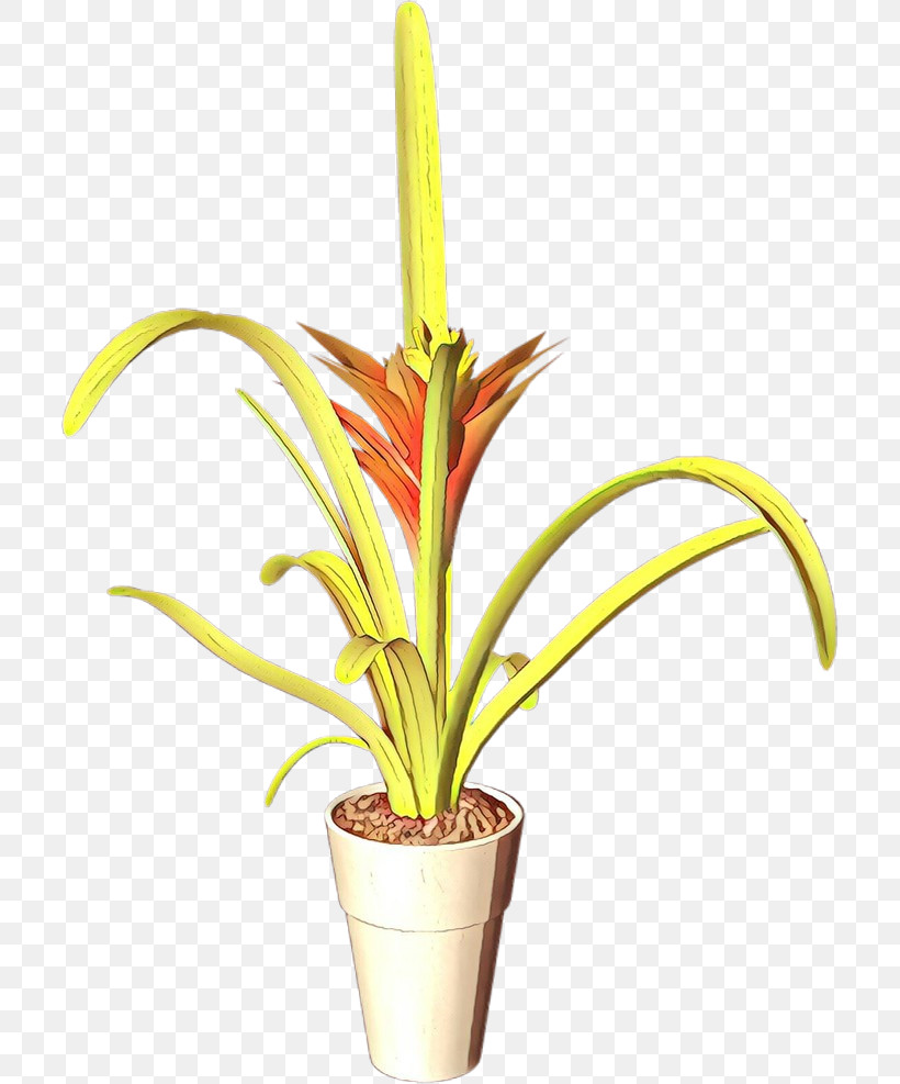 Flower Flowerpot Houseplant Plant Terrestrial Plant, PNG, 708x987px, Flower, Anthurium, Bromelia, Flowerpot, Houseplant Download Free