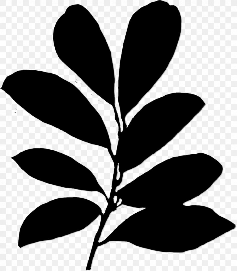 Plant Stem Leaf Flower Clip Art Silhouette, PNG, 876x1003px, Plant Stem, Black, Blackandwhite, Botany, Branch Download Free