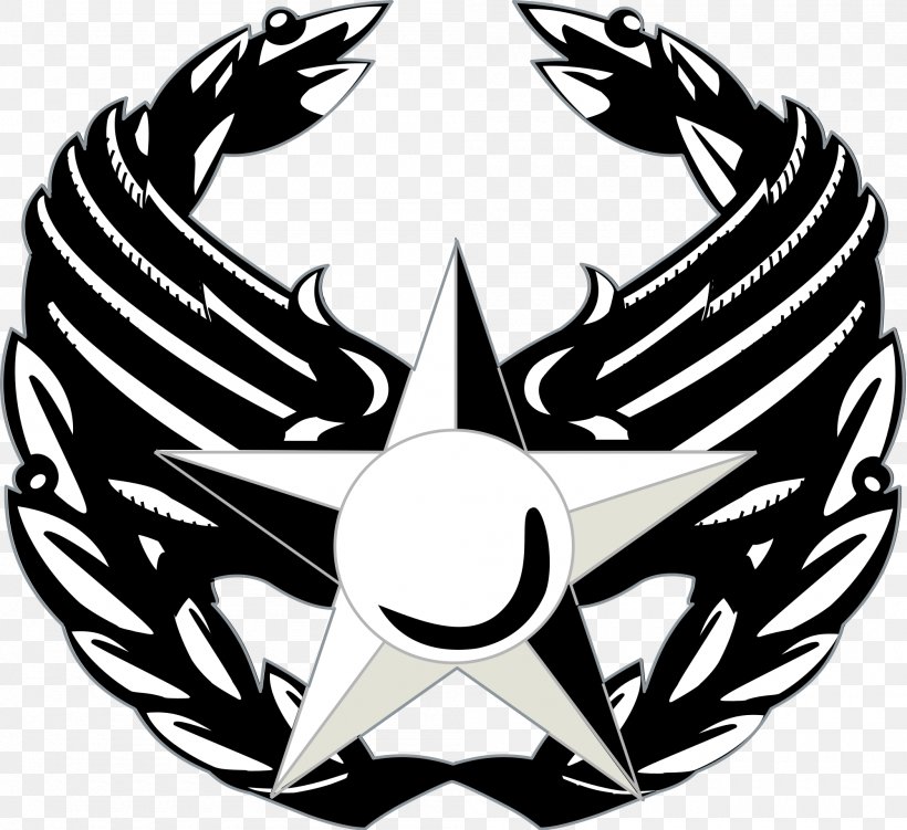 United States Air Force Enlisted Rank Insignia Commander United States Of America, PNG, 2000x1834px, United States Air Force, Air Force, Airman, Airman Battle Uniform, Army Officer Download Free