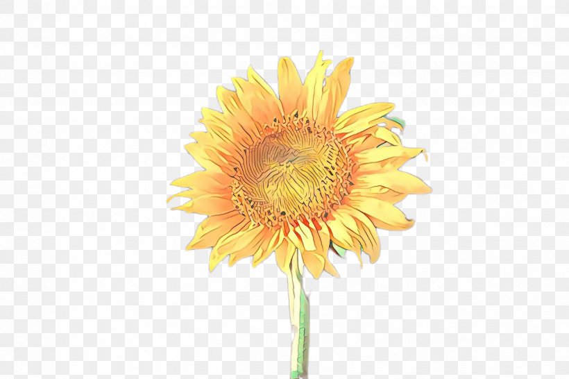 Artificial Flower, PNG, 2448x1632px, Sunflower, Annual Plant, Artificial Flower, Asterales, Barberton Daisy Download Free