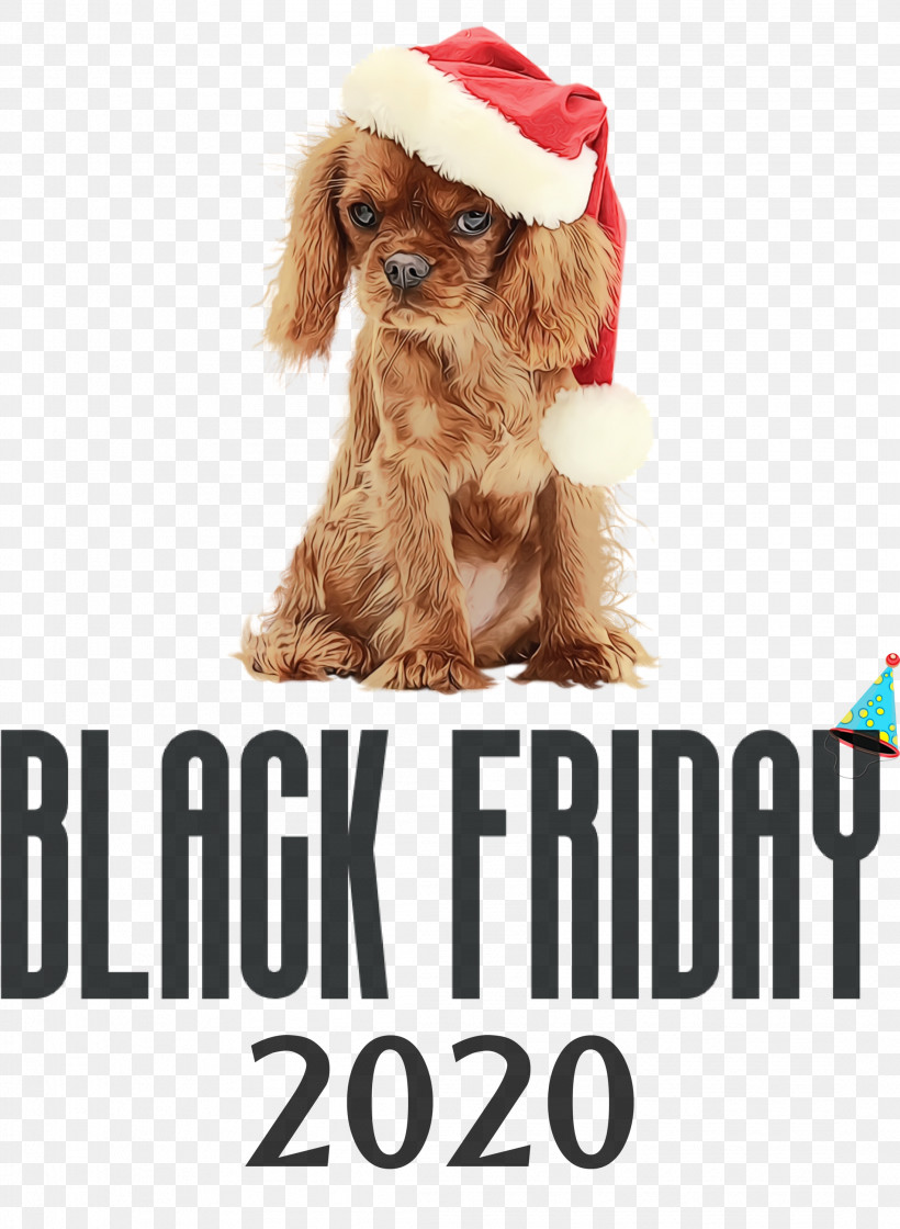 Dog Puppy Snout Companion Dog Spaniel, PNG, 2196x3000px, Black Friday, Biology, Breed, Clothing, Companion Dog Download Free