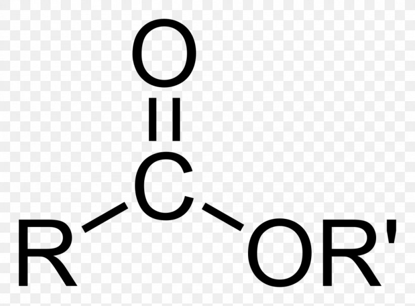 Ester Organic Compound Carboxylic Acid Éster Carbónico, PNG, 1024x756px, Ester, Acetate, Acetic Acid, Acid, Area Download Free