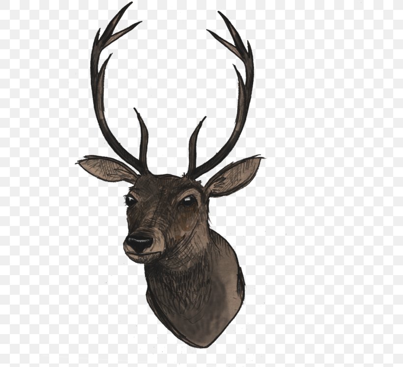 Reindeer, PNG, 652x747px, Elk, Antler, Deer, Drawing, Horn Download Free