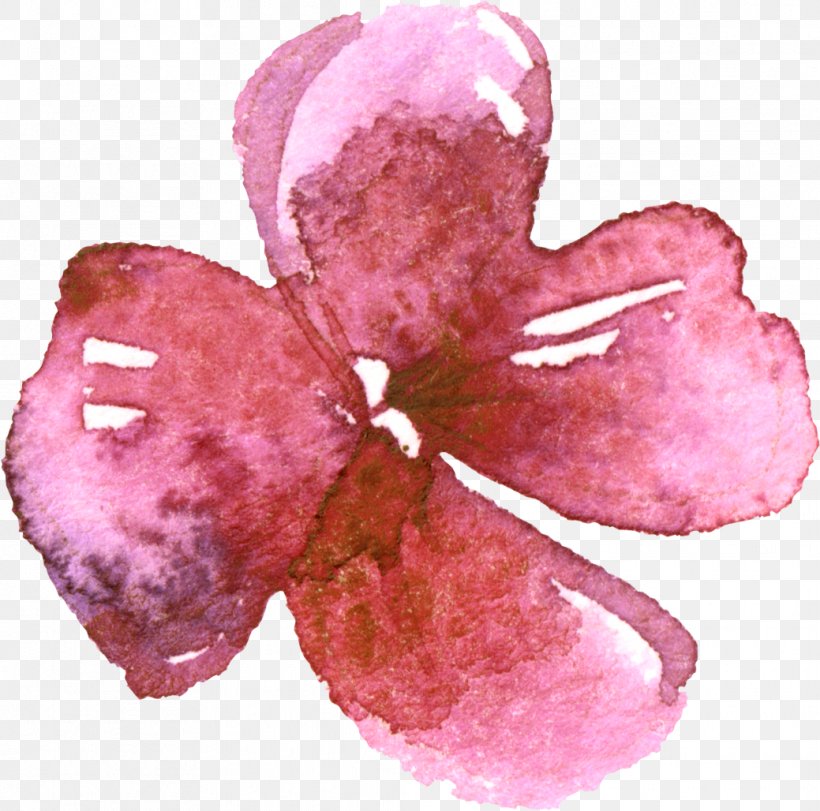 Flower Watercolor Painting Illustration, PNG, 1039x1028px, Flower, Art, Cut Flowers, Herbaceous Plant, Magenta Download Free