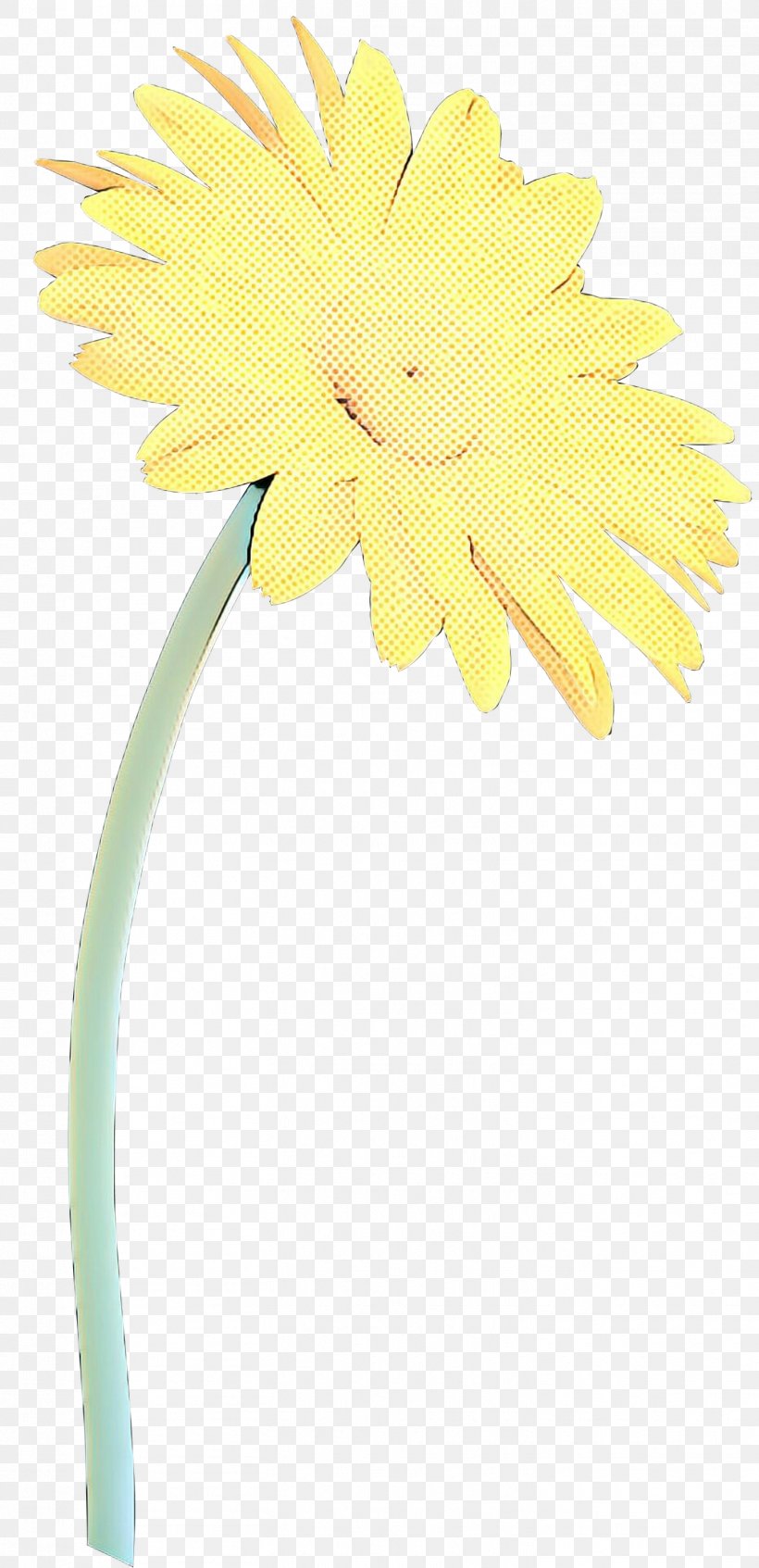 Flowers Background, PNG, 1453x3000px, Transvaal Daisy, Cut Flowers, Daisy Family, Dandelion, Floral Design Download Free