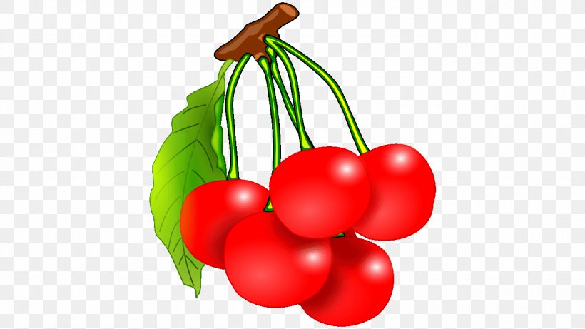Fruit Food Cherry Vegetable, PNG, 1280x720px, Fruit, Auglis, Australian Desert Raisin, Berry, Bush Tomato Download Free