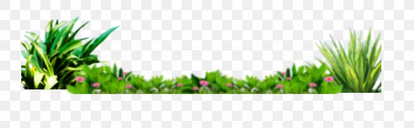 Grasses Wallpaper, PNG, 2207x684px, Flower, Brand, Concepteur, Flowerpot, Grass Download Free