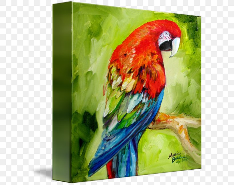 Macaw Watercolor Painting Parrot Canvas, PNG, 606x650px, Macaw, Abstract Art, Acrylic Paint, Art, Art Museum Download Free