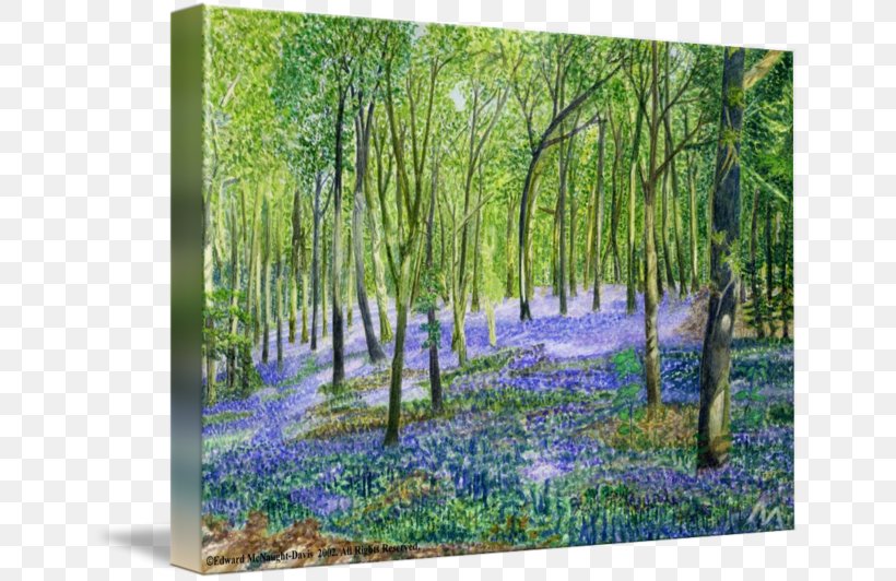 Painting Printing Vegetation Flora Landscape, PNG, 650x532px, Painting, Acrylic Paint, Biome, Common Bluebell, Ecosystem Download Free