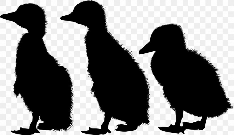 Penguin Fauna Silhouette Beak, PNG, 2383x1377px, Penguin, Adaptation, Beak, Bird, Duck Download Free