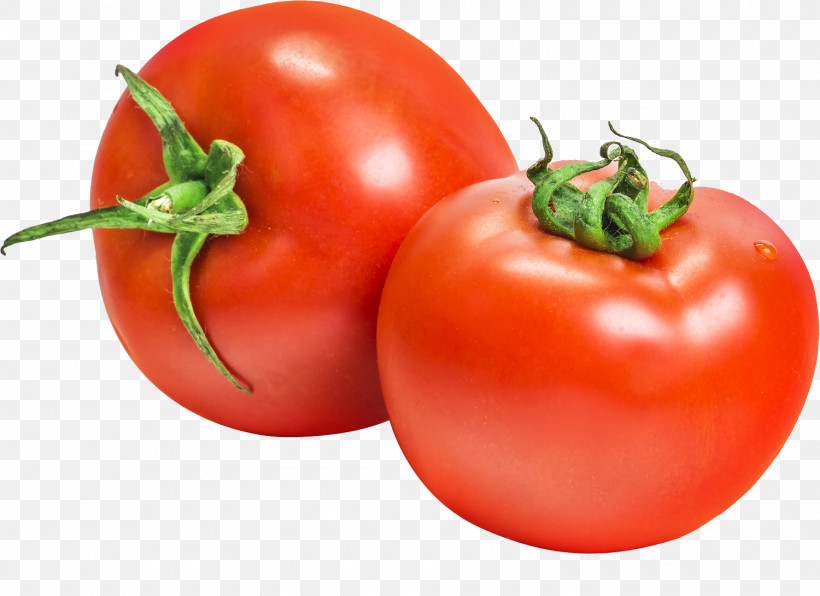 Tomato, PNG, 1500x1091px, Natural Foods, Bush Tomato, Food, Fruit, Local Food Download Free