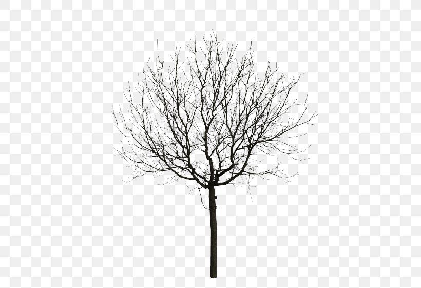Tree MPEG-4 Part 14 3GP MP3, PNG, 631x561px, Tree, Ahmet Kaya, Animation, Black And White, Branch Download Free
