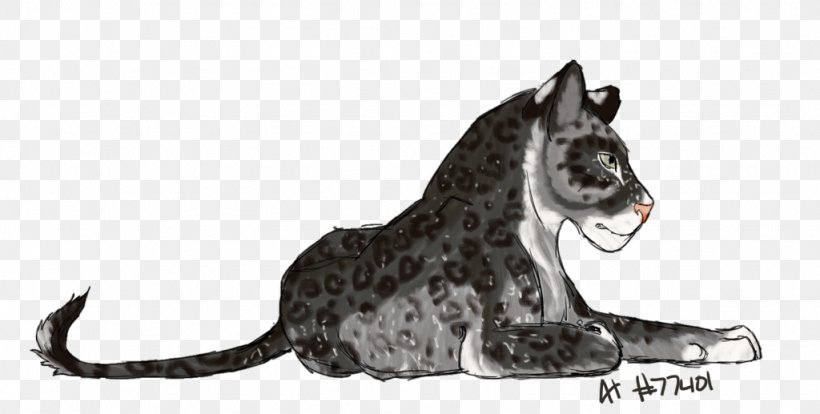 Whiskers Cat Cougar Dog Mammal, PNG, 1024x517px, Whiskers, Big Cat, Big Cats, Black And White, Canidae Download Free