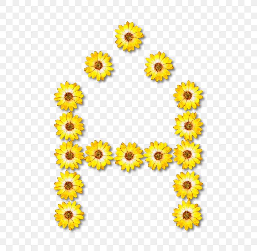 Alphabet Floral Design Letter U, PNG, 572x800px, Alphabet, Chrysanths, Cut Flowers, Daisy Family, Dot Matrix Download Free