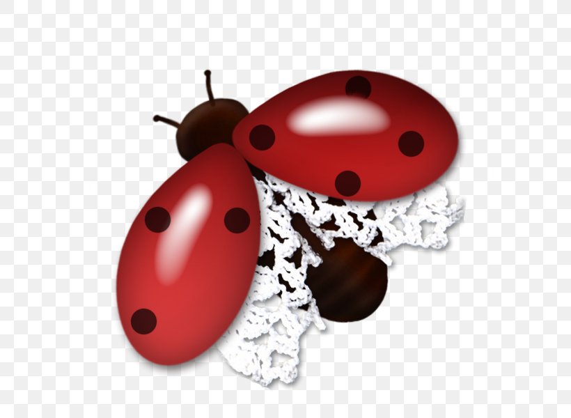Beetle Coccinella Red, PNG, 600x600px, Beetle, Abstract Art, Albom, Animal, Arthropod Download Free