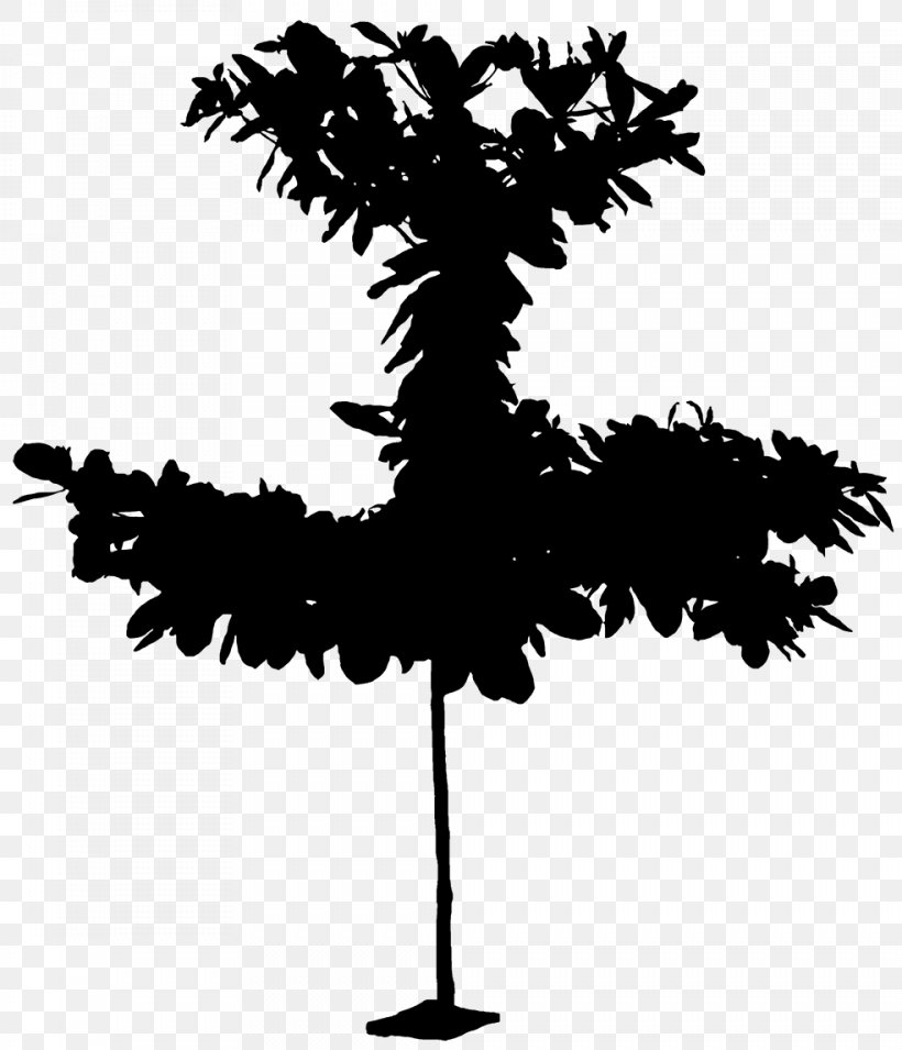 Cartoon Palm Tree, PNG, 984x1146px, Almond, Blackandwhite, Branch, Fan Palms, Indianalmond Download Free