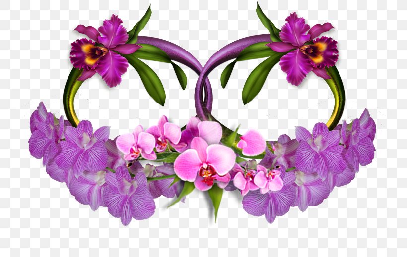 Floral Design Cut Flowers Petal, PNG, 800x519px, Floral Design, Cut Flowers, Family, Floristry, Flower Download Free