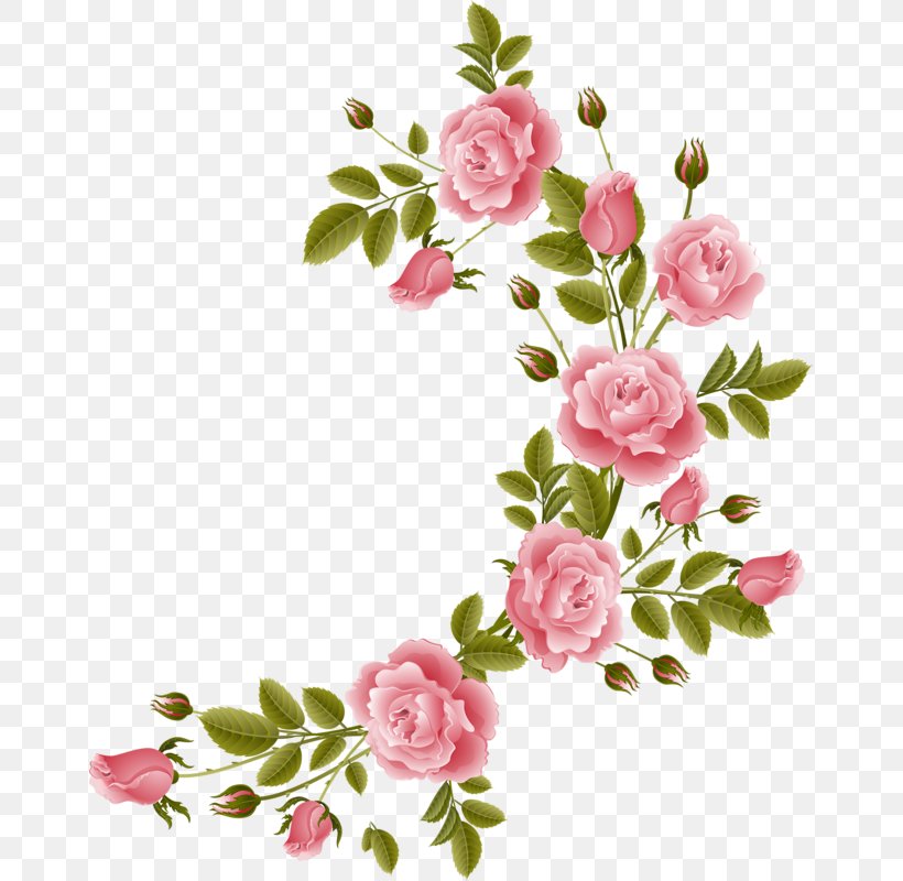 Flower Floral Design Clip Art, PNG, 657x800px, Flower, Blossom, Branch, Cut Flowers, Flora Download Free