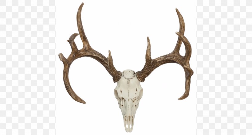 are antlers bone