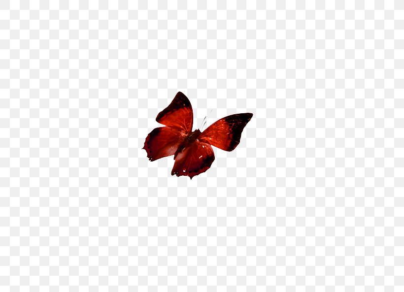 Butterfly Red Computer File, PNG, 644x593px, Butterfly, Animal, Butterflies And Moths, Document, Gratis Download Free