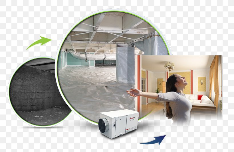 DinoDry Waterproofing Dehumidifier Vapor Barrier Water Damage Sump Pump, PNG, 800x531px, Dehumidifier, Basement, Charlotte, Encapsulation, Home Download Free