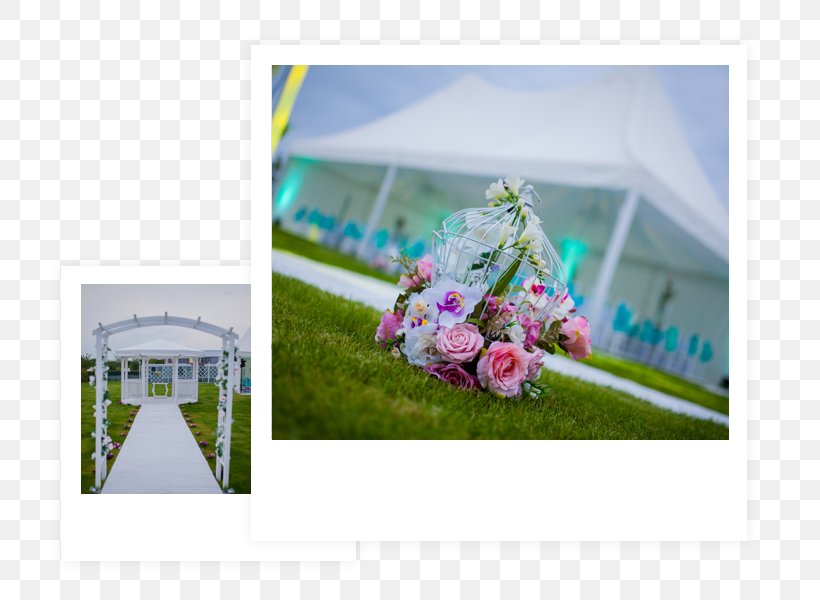 Градински комплекс Garden Weddings Floral Design Plovdiv Party, PNG, 800x600px, Floral Design, Floristry, Flower, Flower Arranging, Grass Download Free