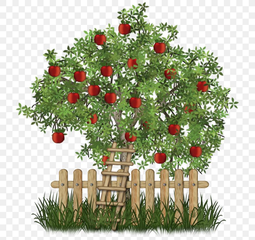 Tree Clip Art, PNG, 729x770px, Tree, Apple, Branch, Christmas Decoration, Christmas Ornament Download Free