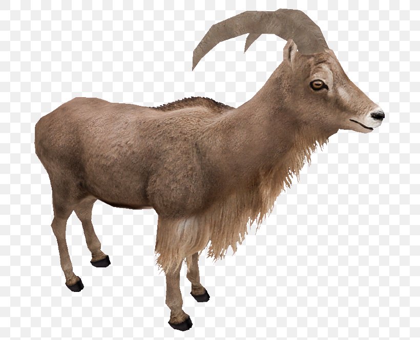 Zoo Tycoon 2 Barbary Sheep Goat Argali, PNG, 700x665px, Zoo Tycoon 2, African Bush Elephant, African Lion, Animal, Antelope Download Free