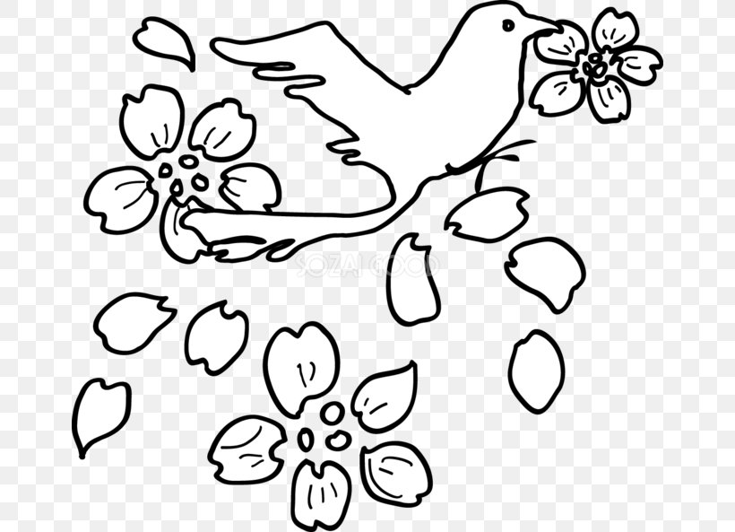 Black And White Visual Arts Clip Art, PNG, 660x593px, Black And White, Area, Art, Bird, Black Download Free